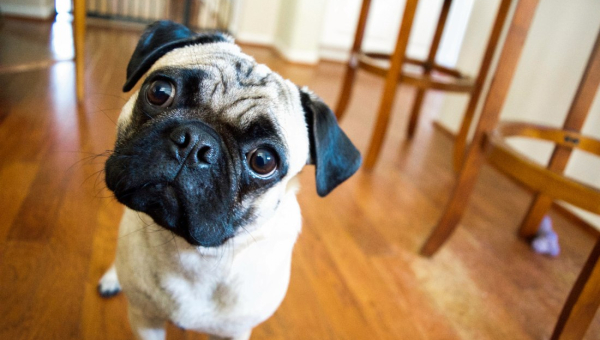 Myth buster: do weekly repayments pay off an offset loan faster?